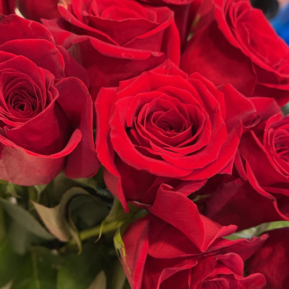 Meet your Posher, Felicia